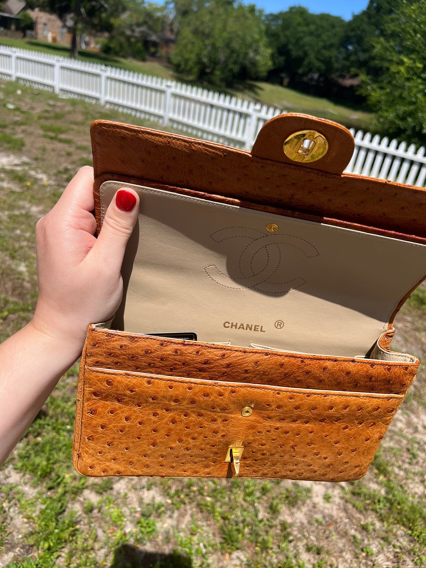 Chanel Rare Vintage Ostrich Medium Double Flap Bag