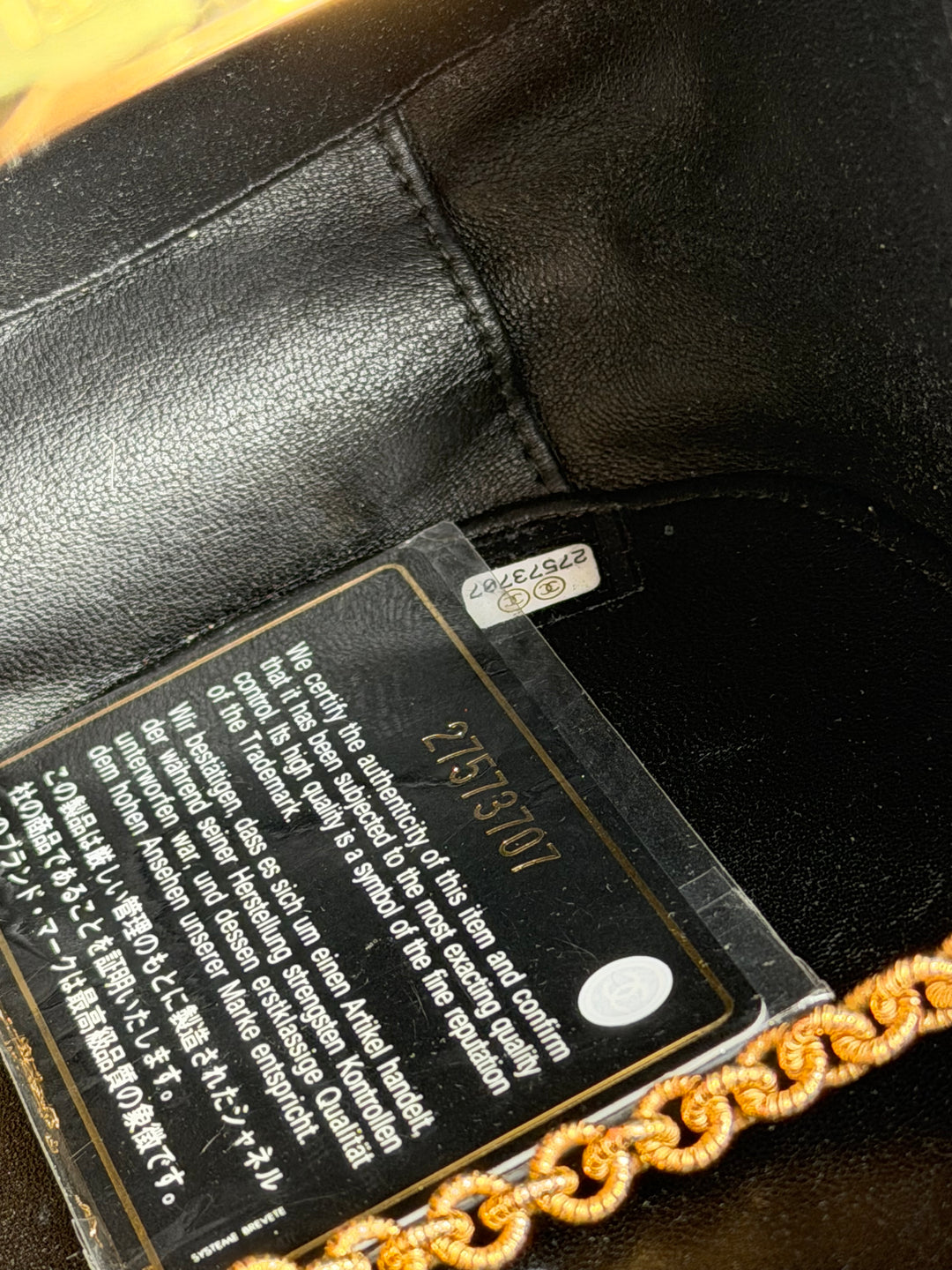 Chanel 2019 Scarab Minaudière Pre-Fall Métiers d’Art