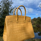 Hermes Poussiere Matte Croc Birkin 35 GHW