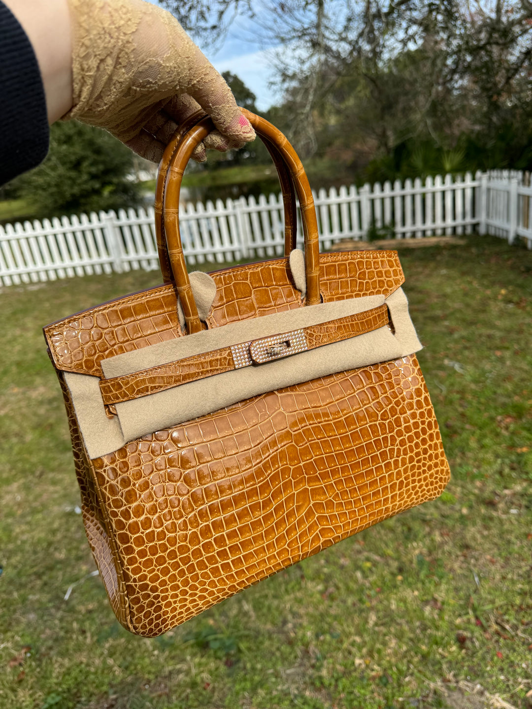 Hermes Crocodile Diamond Birkin 30