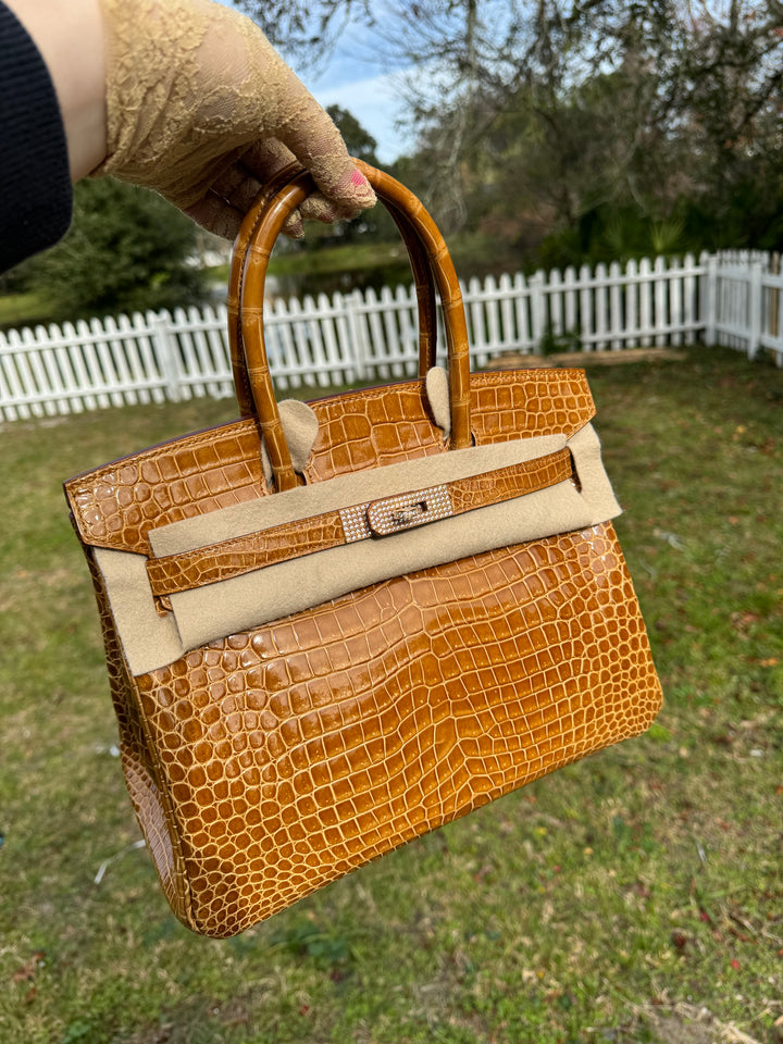 Hermes Crocodile Diamond Birkin 30