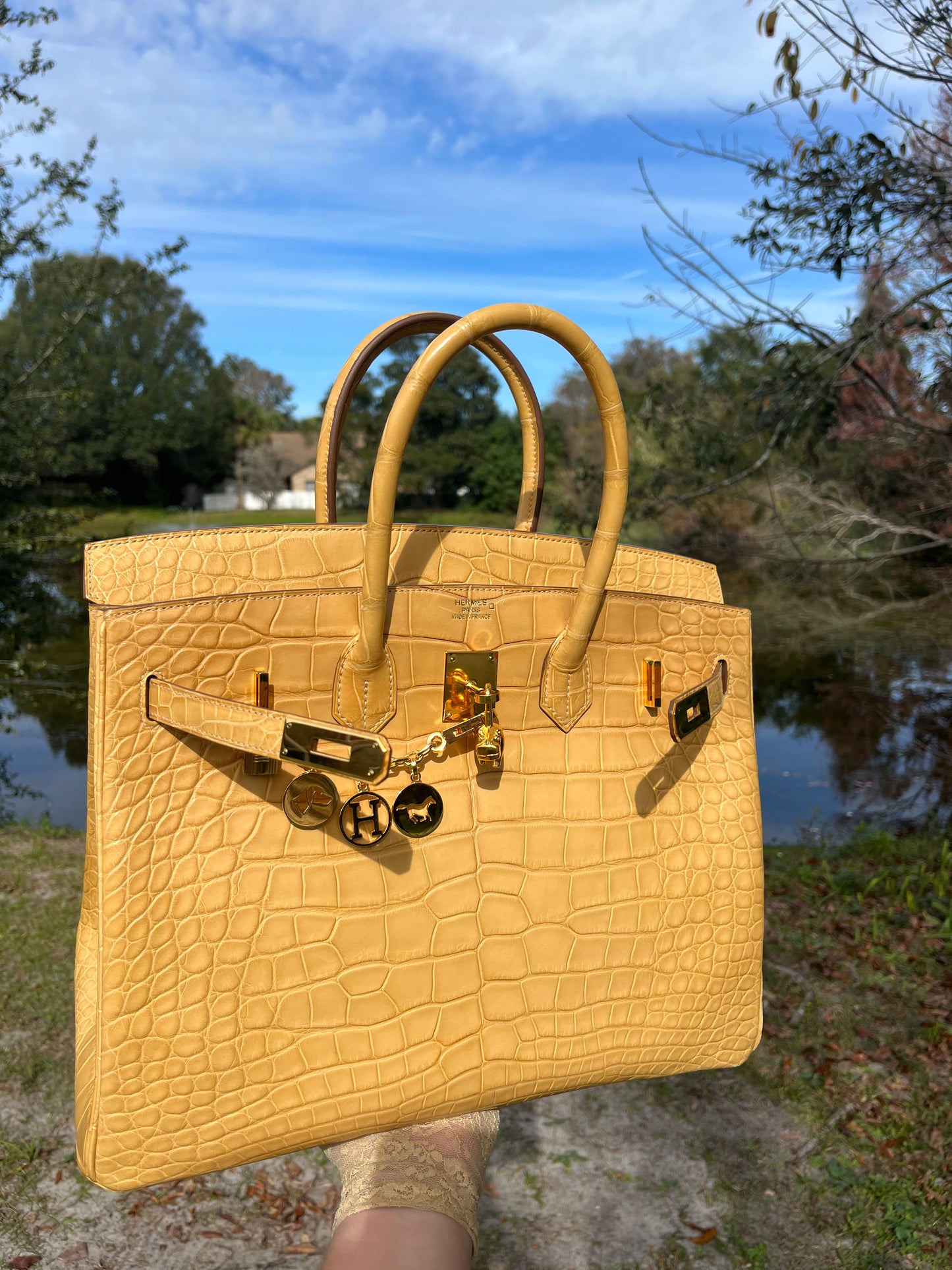 Hermes Poussiere Matte Croc Birkin 35 GHW