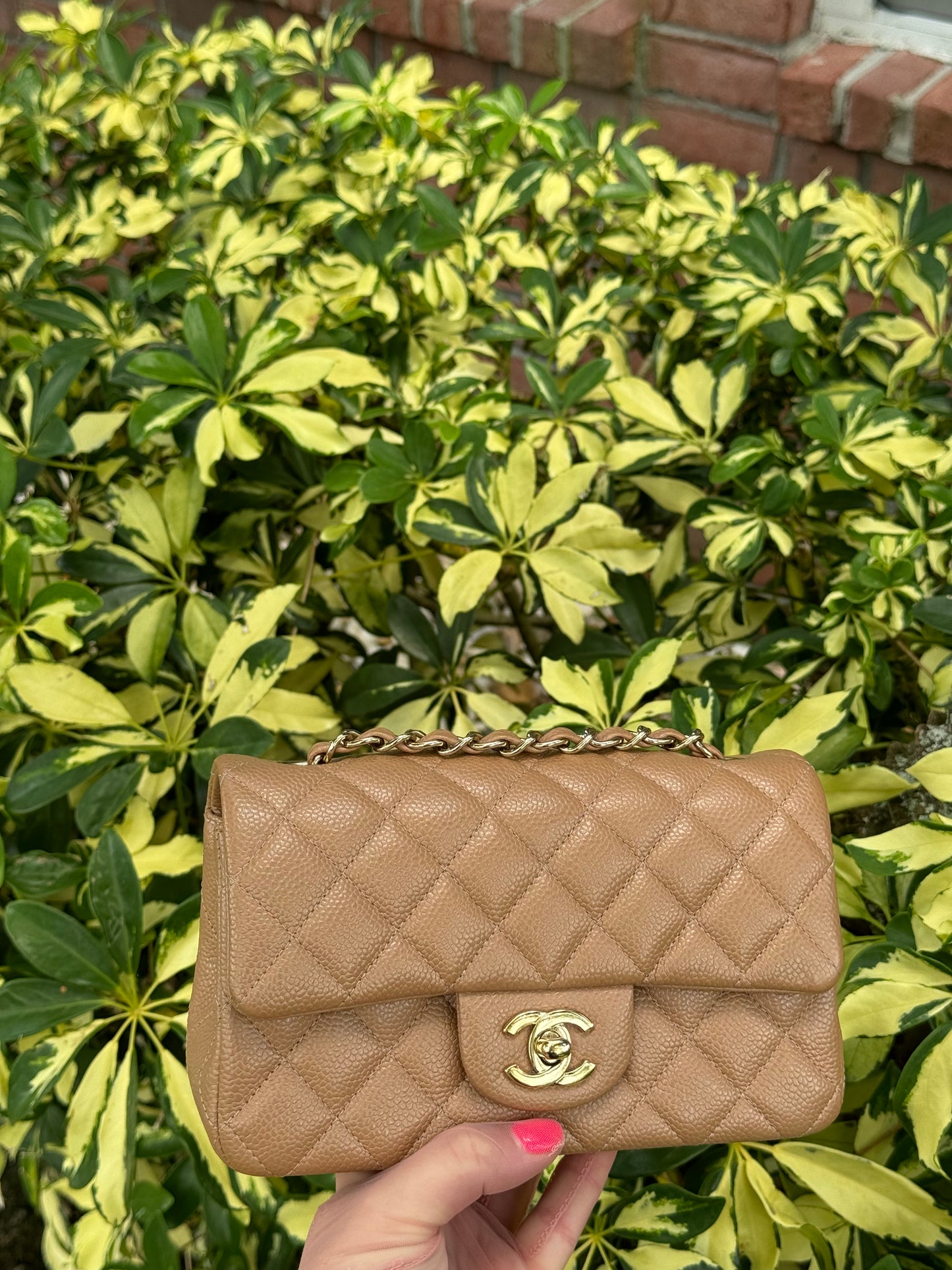 Chanel 18S Dark Beige Caviar Mini Flap Bag