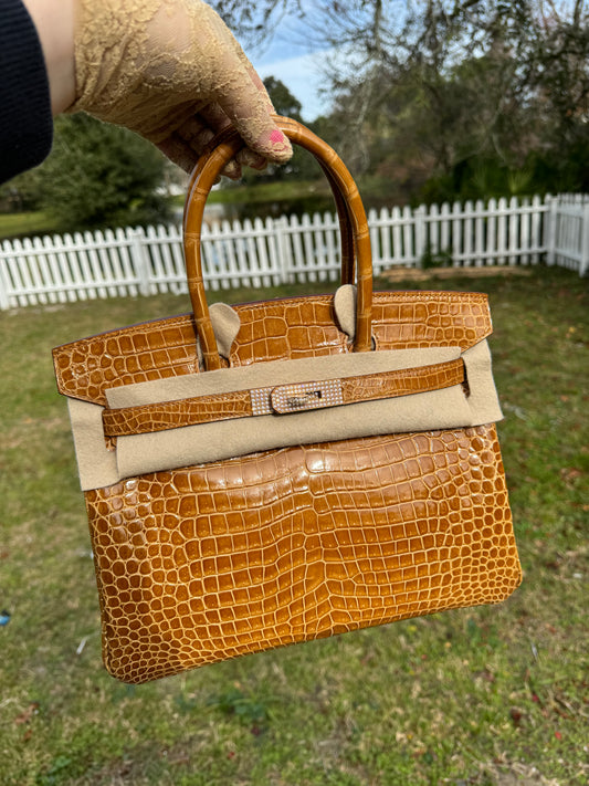 Hermes Crocodile Diamond Birkin 30