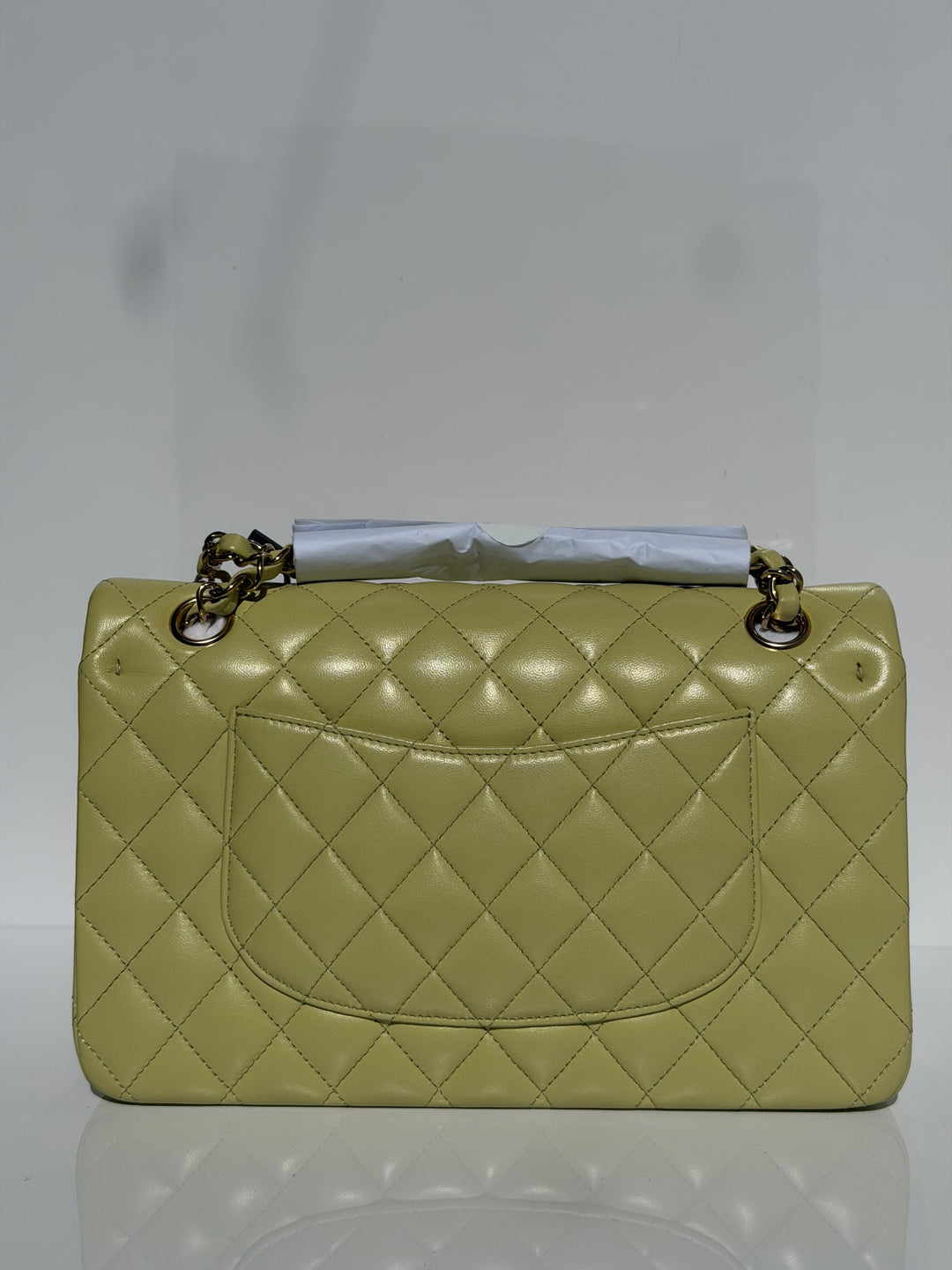 Chanel Medium Classic Flap Bag Pistachio Green Lambskin Gold Tone Hardware 2021