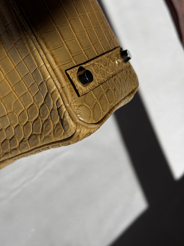 Hermes Matte Crocodile Poussiere Birkin 25 PHW
