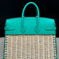 Hermes Menthe Swift Picnic Birkin 25