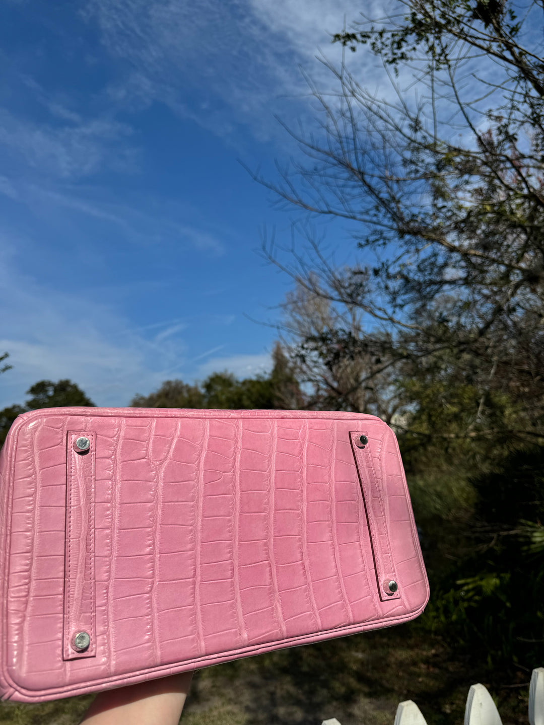 Hermes Bubblegum Matte Croc Birkin 35 PHW