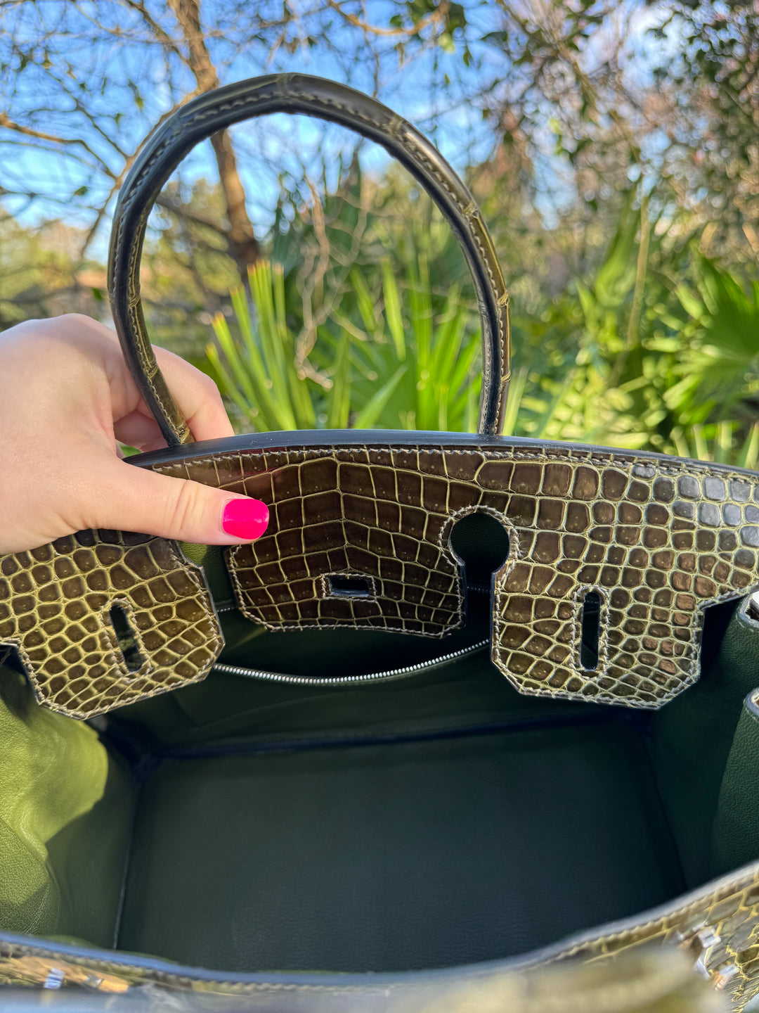Hermes Crocodile Diamond Birkin 30