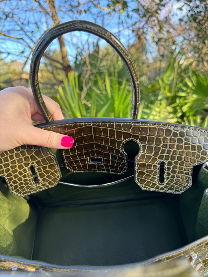 Hermes Crocodile Diamond Birkin 30