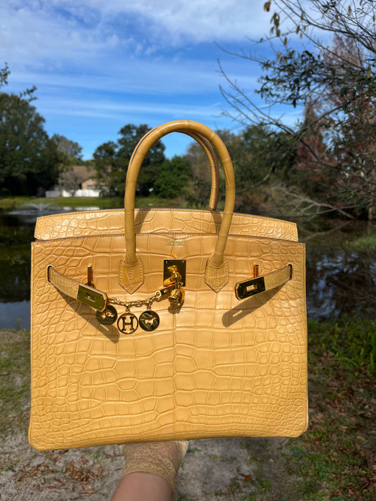 Hermes Poussiere Matte Croc Birkin 35 GHW