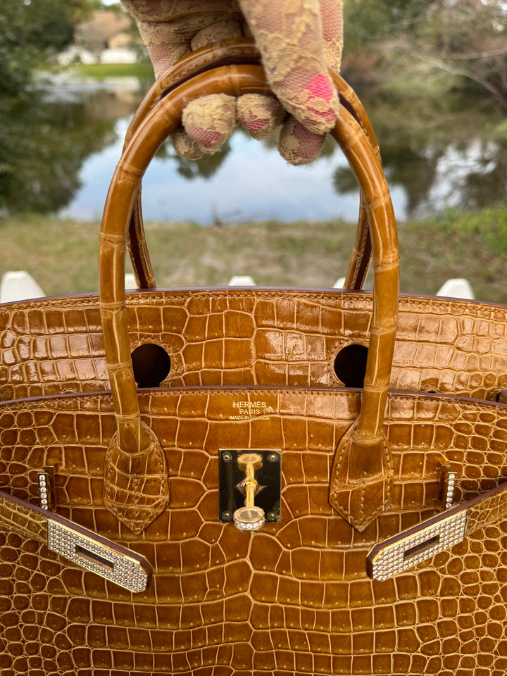 Hermes Crocodile Diamond Birkin 30