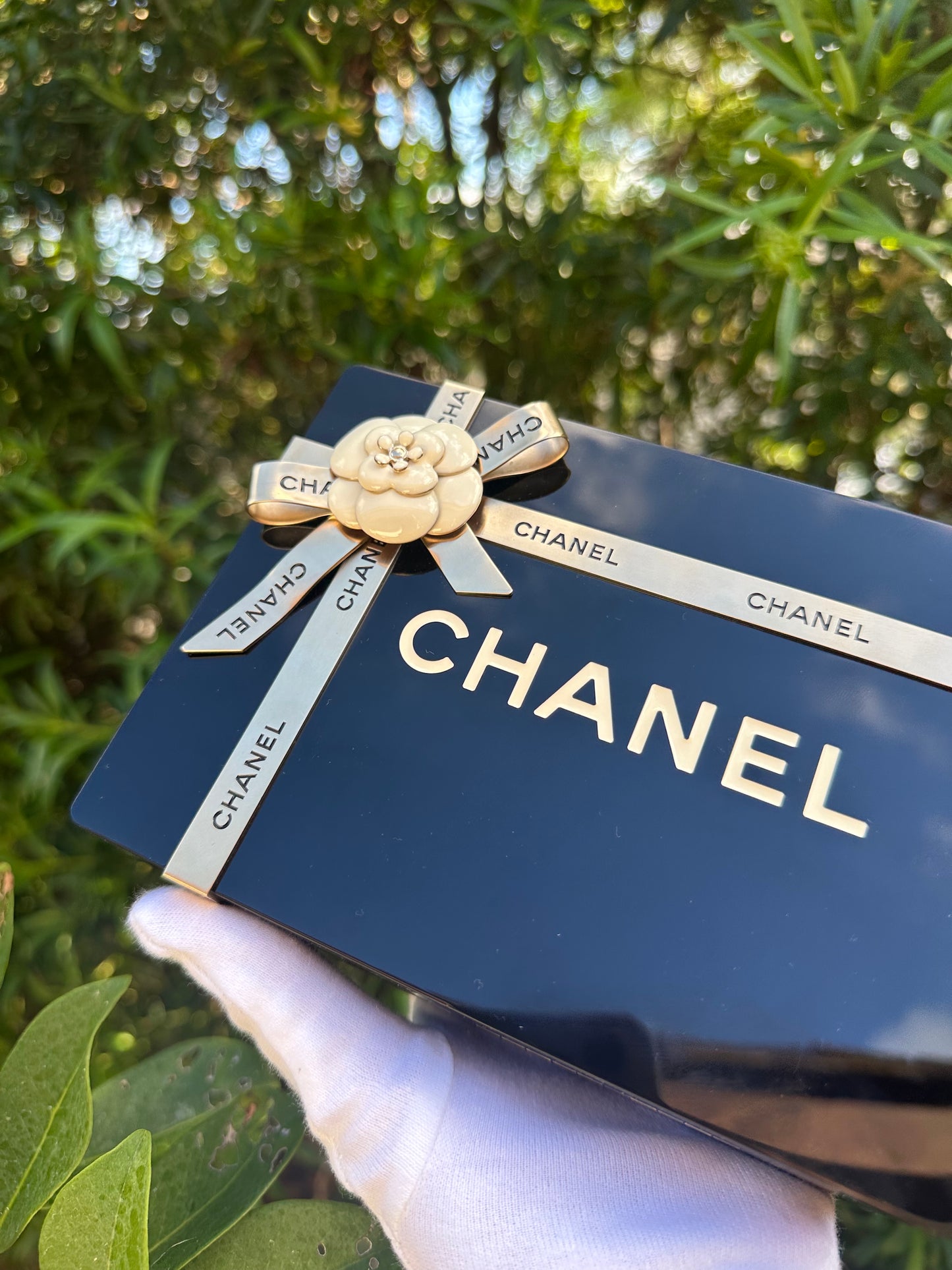 Chanel Gift Box Minaudière