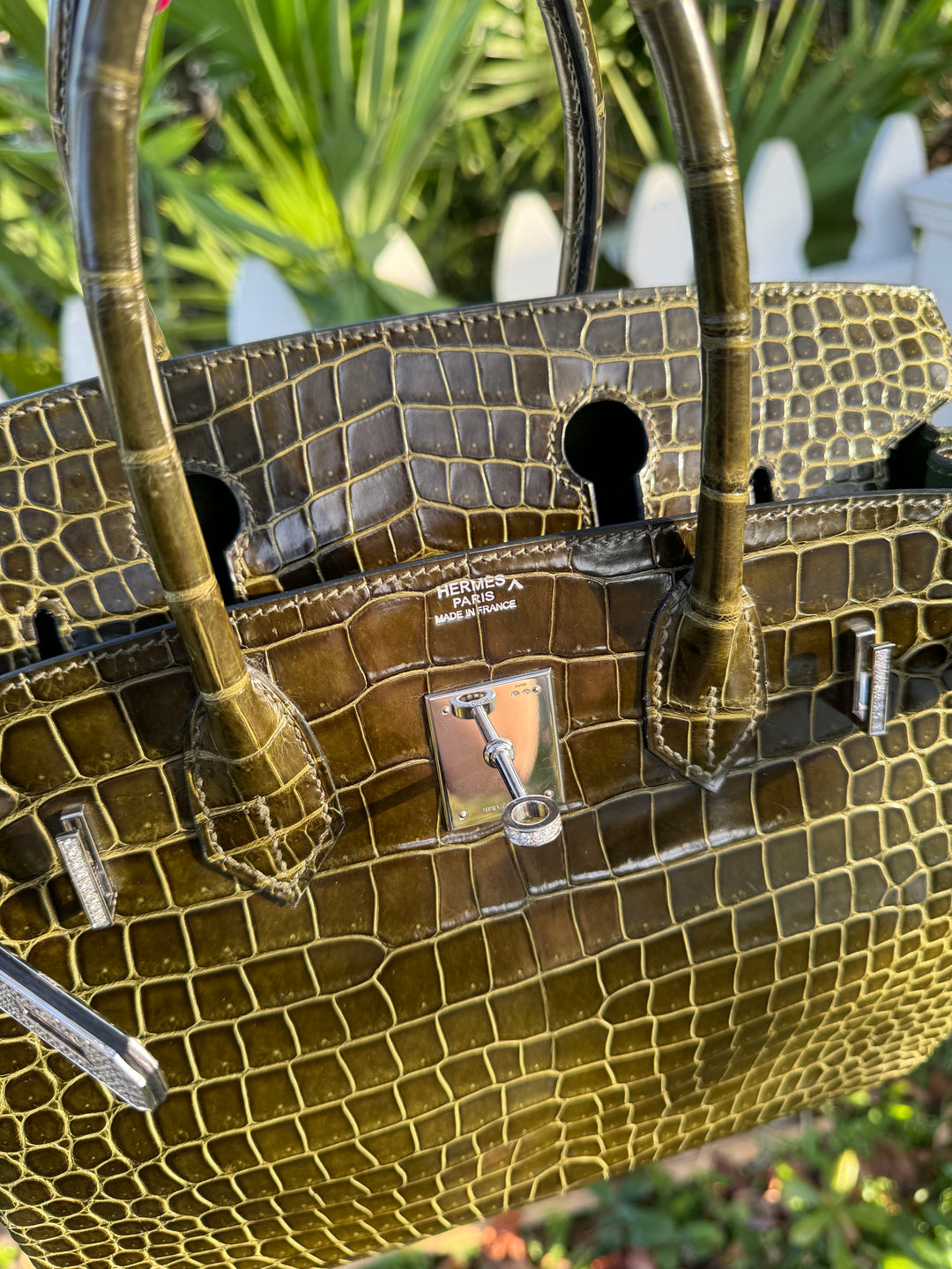 Hermes Crocodile Diamond Birkin 30