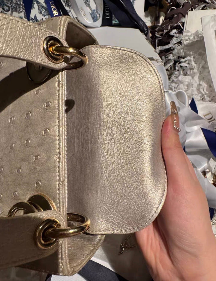 Lady Dior Champagne Ostrich Mini Top Handle