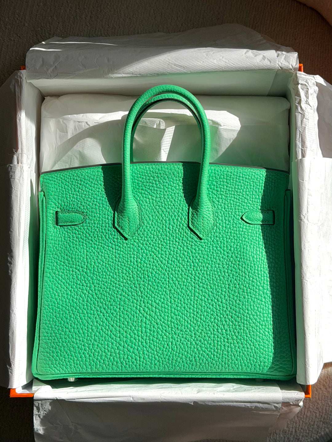 Hermès Birkin 25 Vert Comics Togo Palladium Hardware 2023