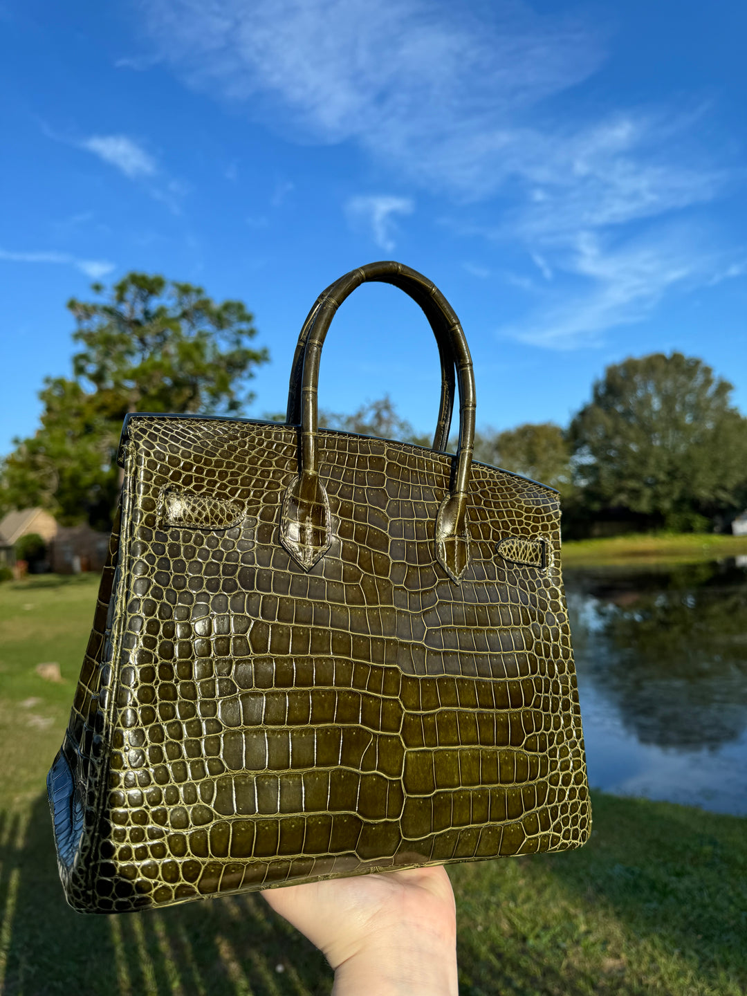 Hermes Crocodile Diamond Birkin 30