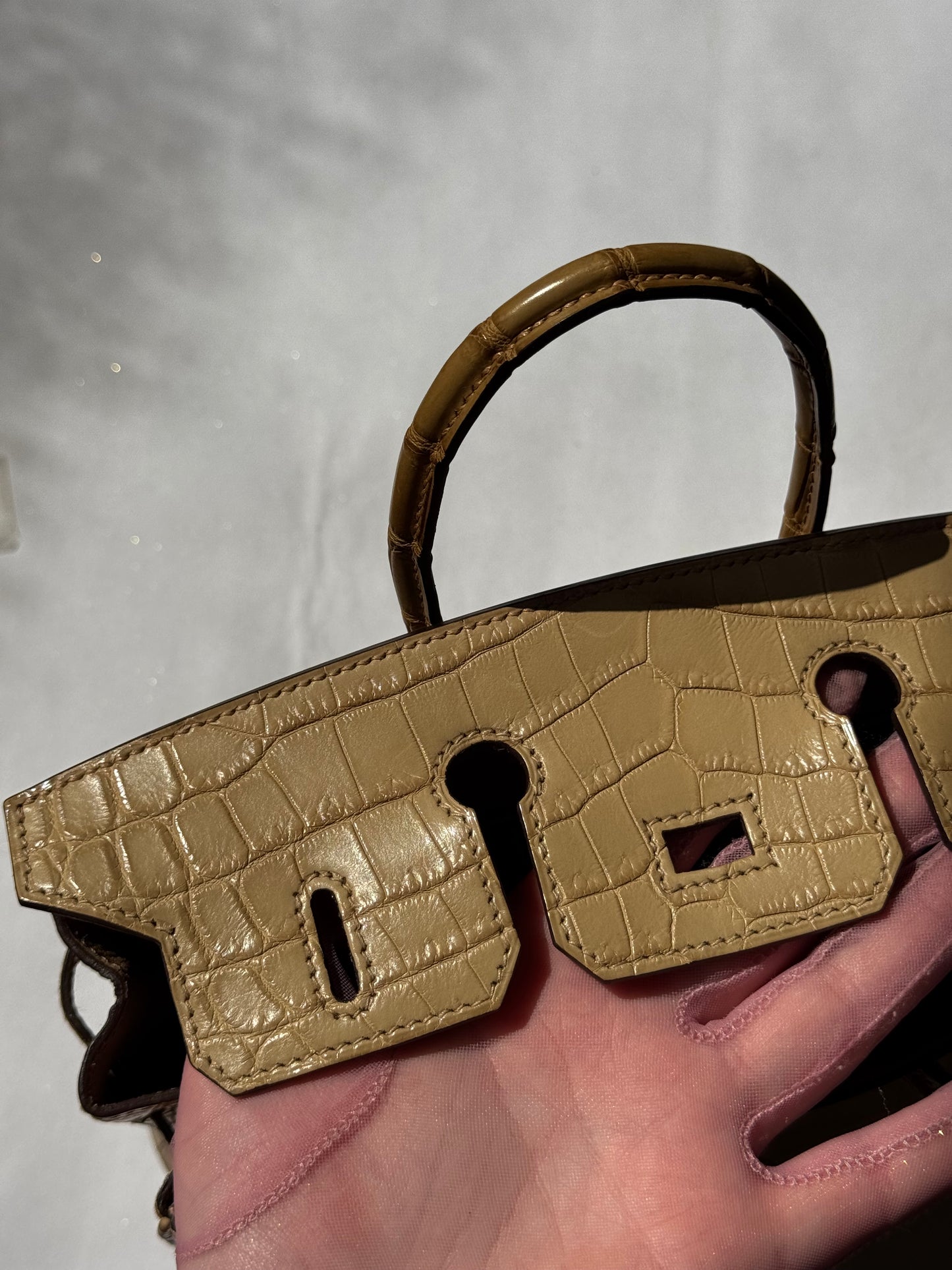 Hermes Matte Crocodile Poussiere Birkin 25 PHW