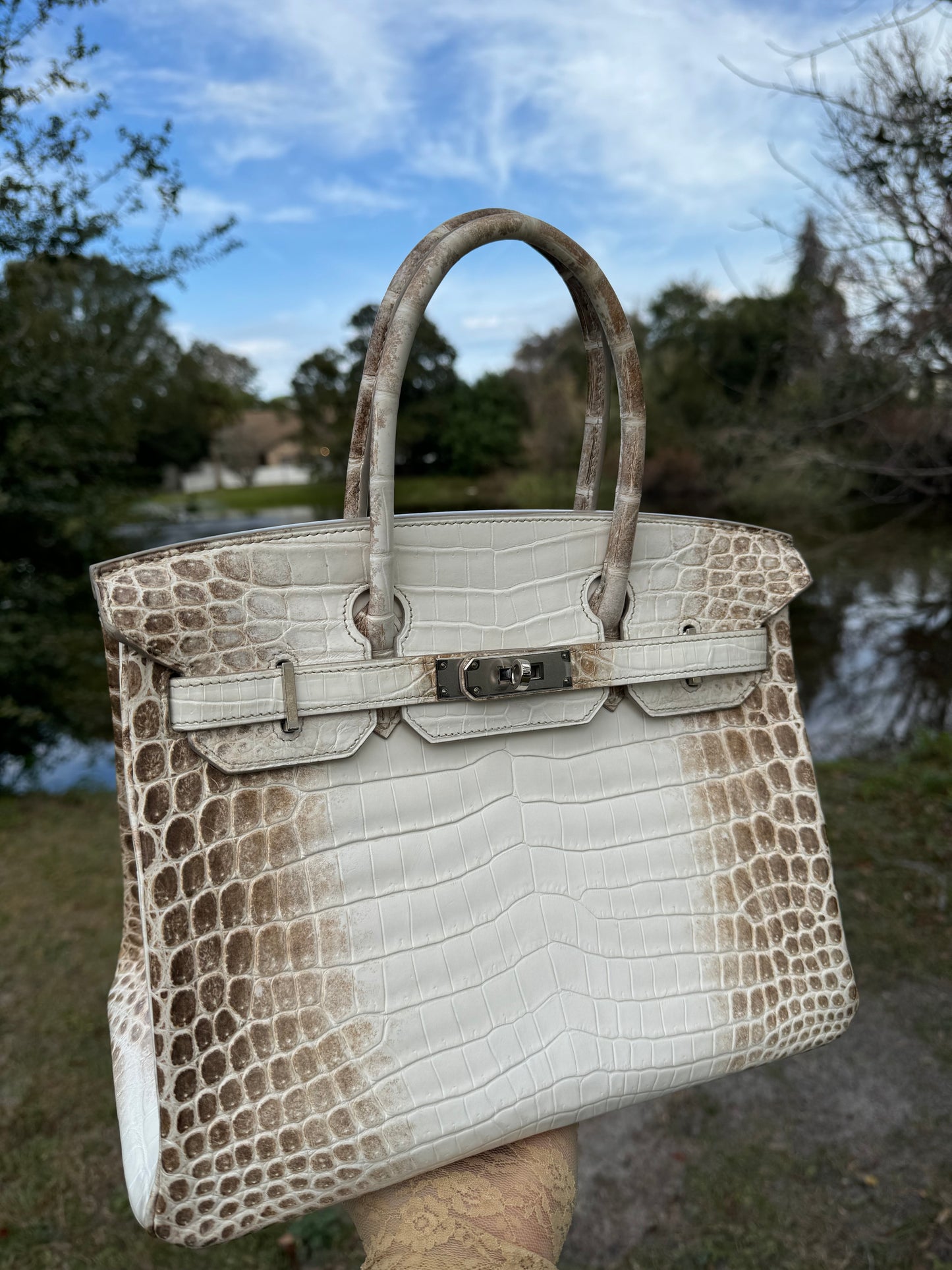 Hermes Himalaya Crocodile Birkin 30