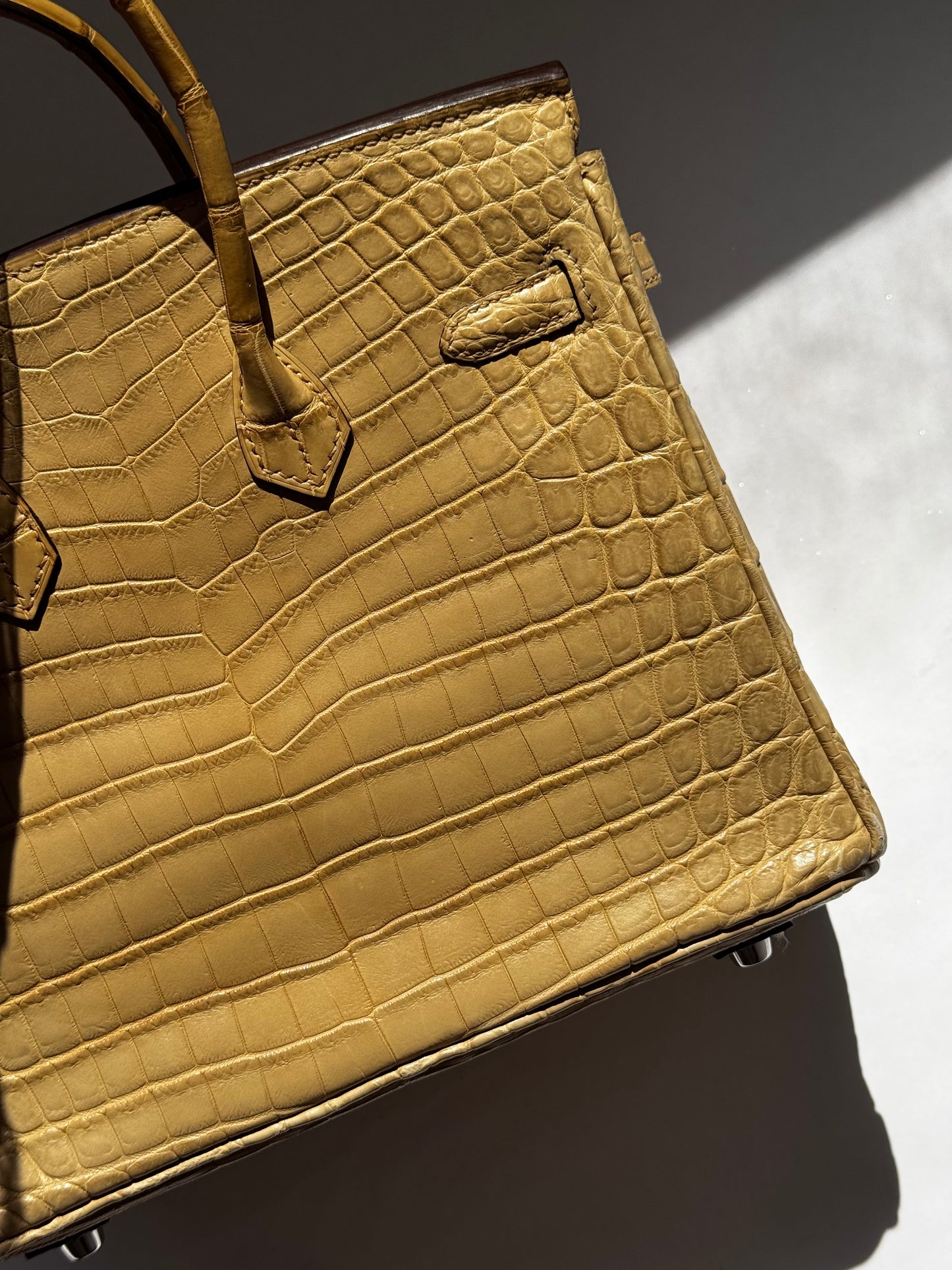 Hermes Matte Crocodile Poussiere Birkin 25 PHW