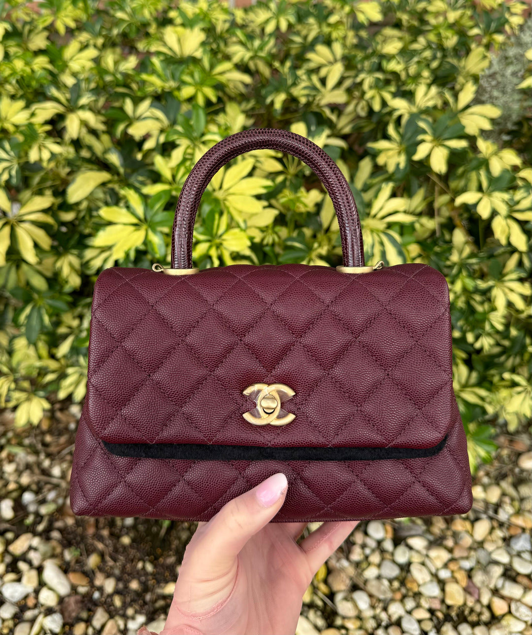 Chanel Small Burgundy Caviar Coco + Lizard Top Handle
