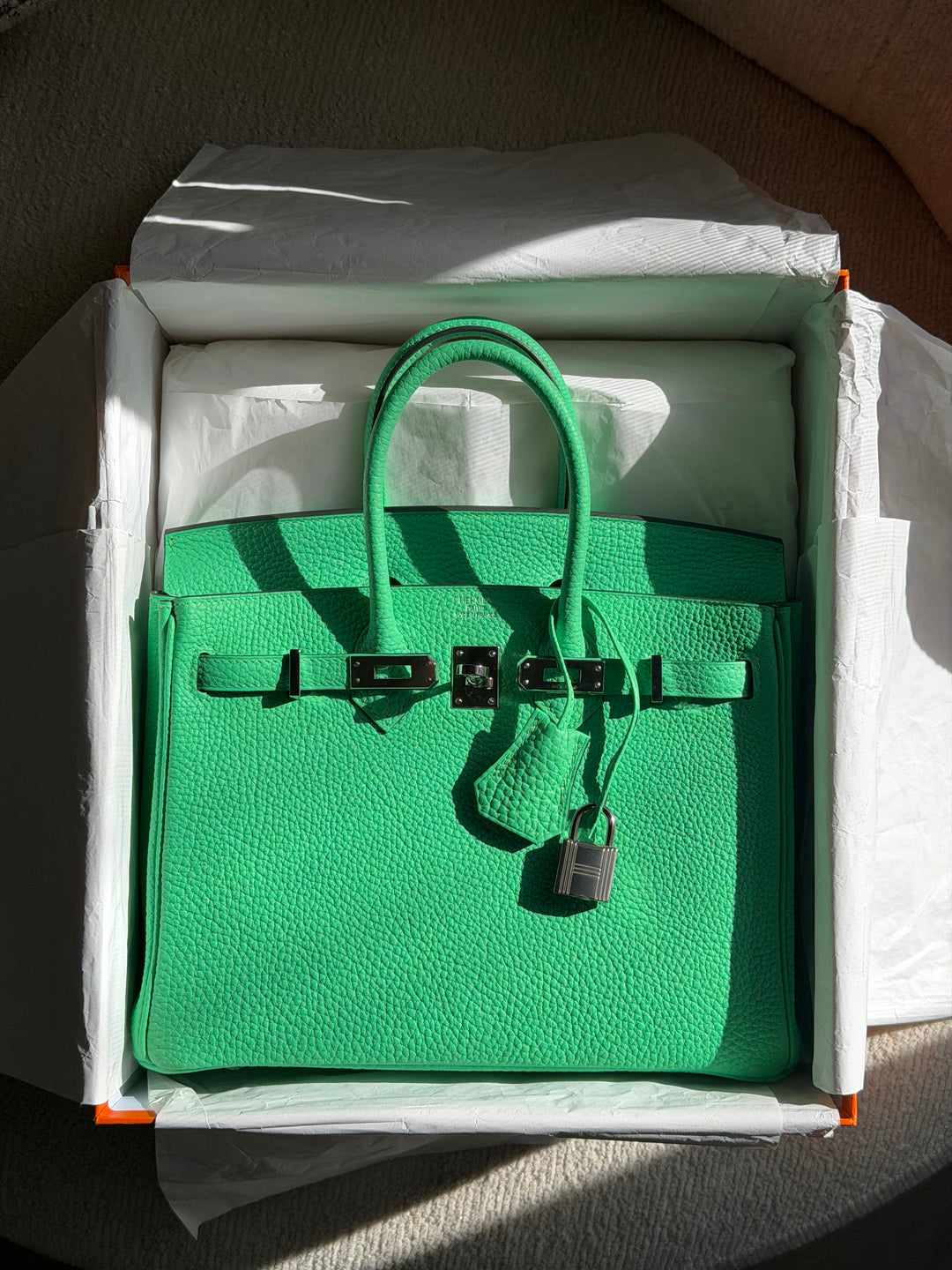 Hermès Birkin 25 Vert Comics Togo Palladium Hardware 2023
