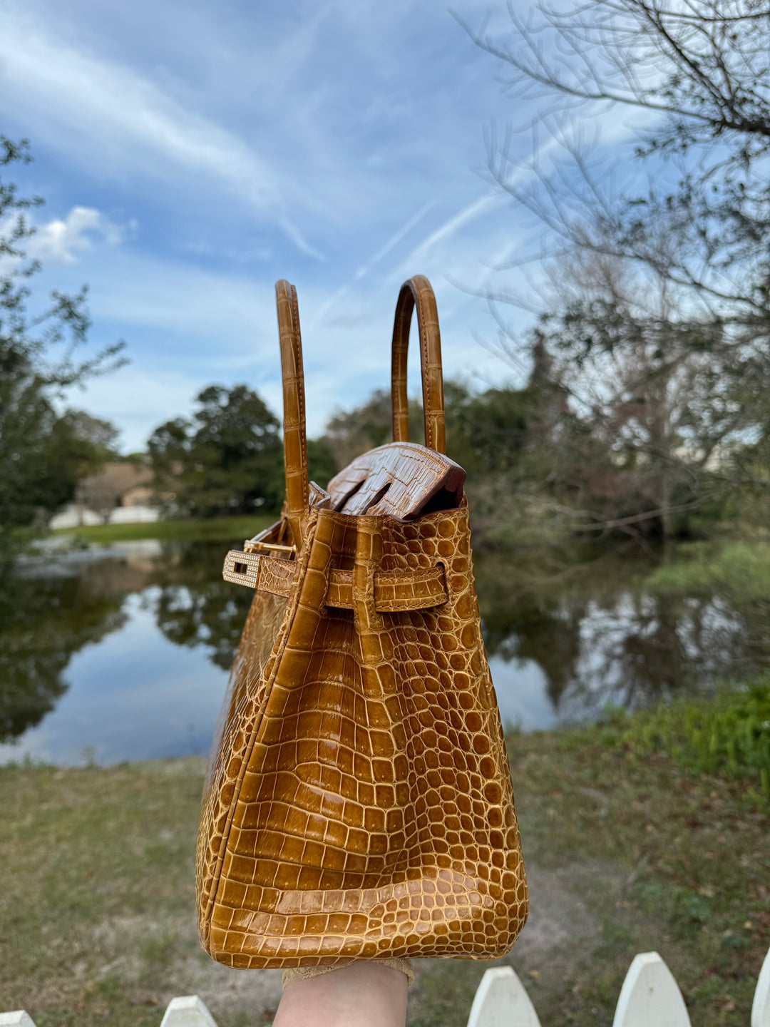 Hermes Crocodile Diamond Birkin 30