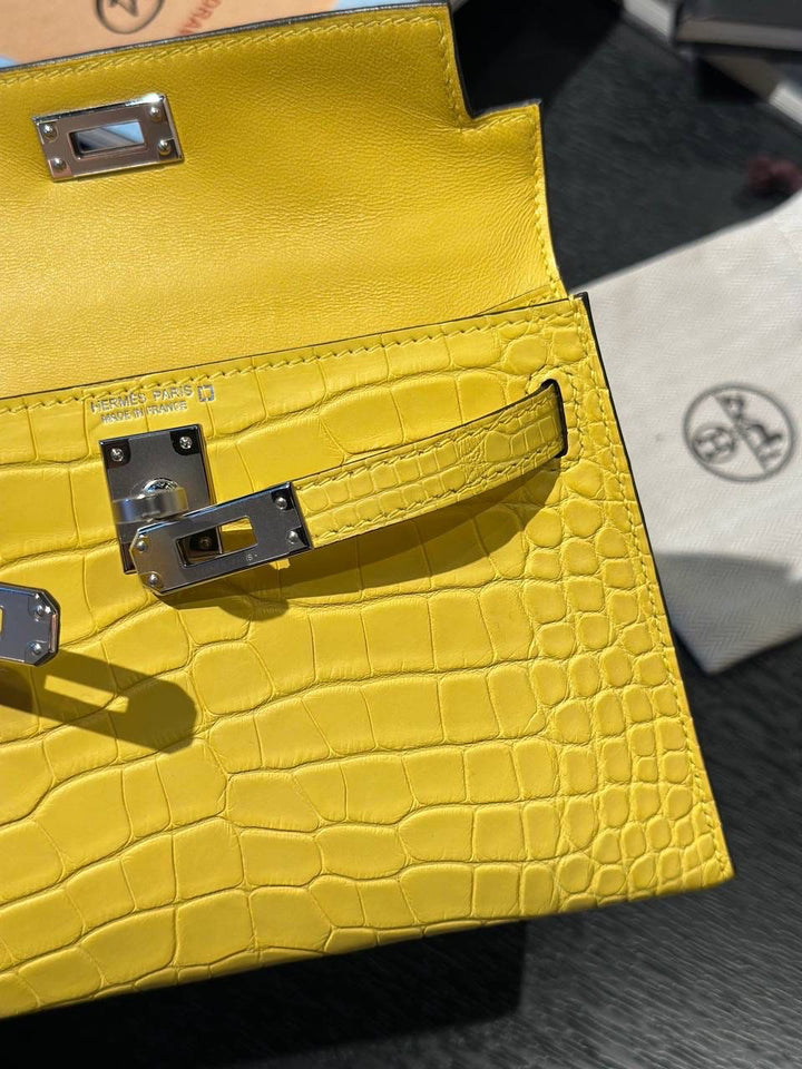 Hermès Mini Kelly 20 Alligator Mimosa Palladium Hardware