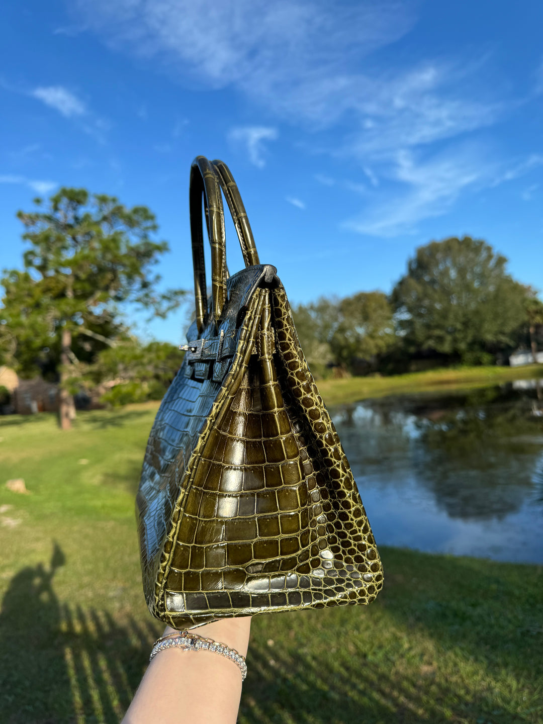 Hermes Crocodile Diamond Birkin 30
