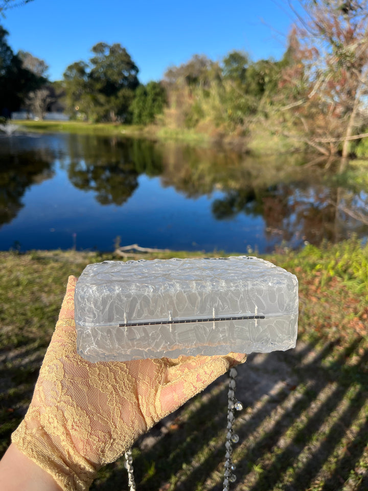 Chanel RARE Runway Acrylic Crystal CC Ice Cube Clutch