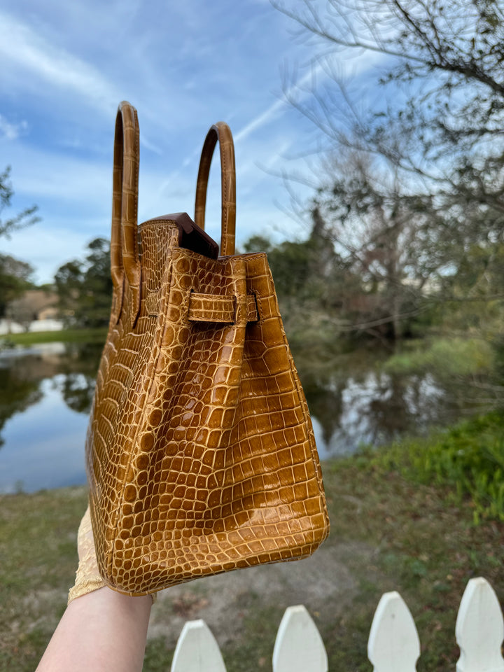Hermes Crocodile Diamond Birkin 30