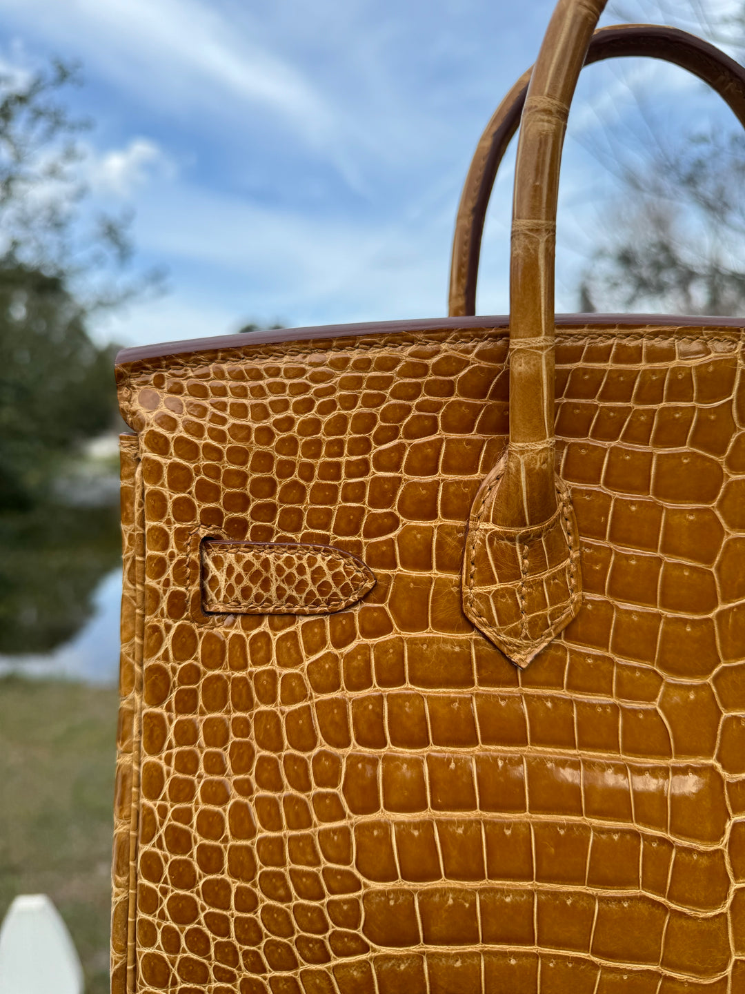 Hermes Crocodile Diamond Birkin 30