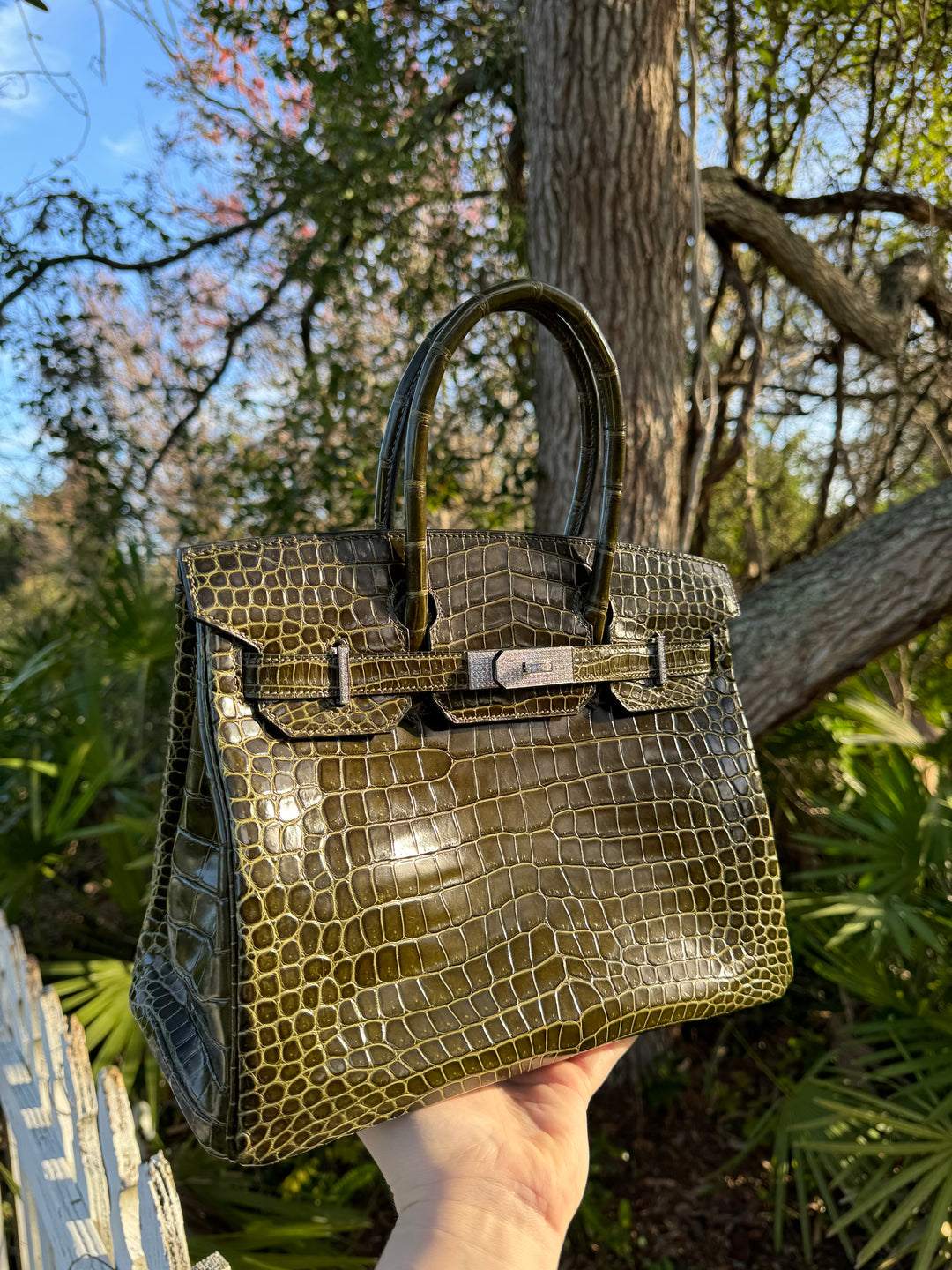 Hermes Crocodile Diamond Birkin 30