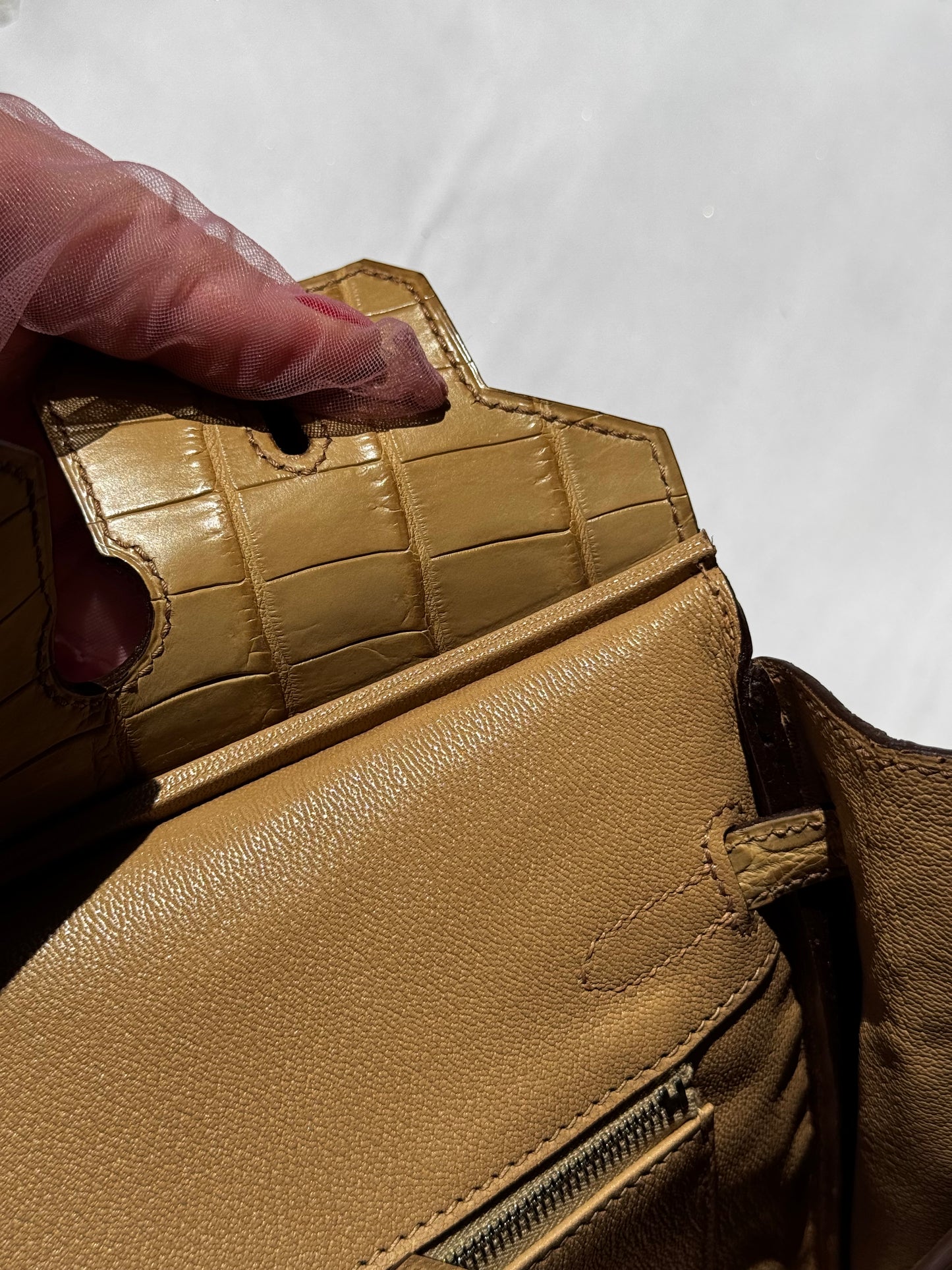 Hermes Matte Crocodile Poussiere Birkin 25 PHW