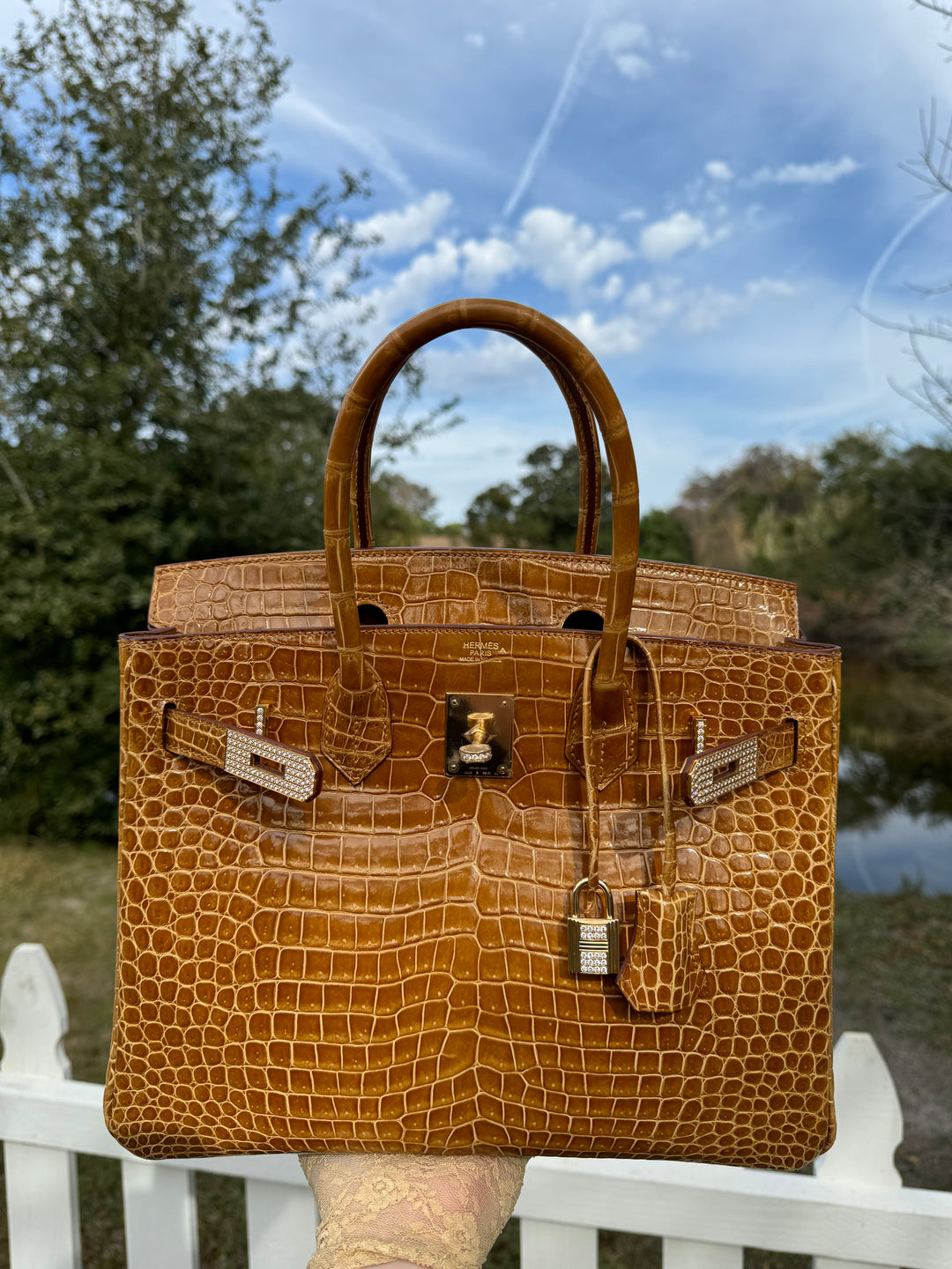 Hermes Crocodile Diamond Birkin 30