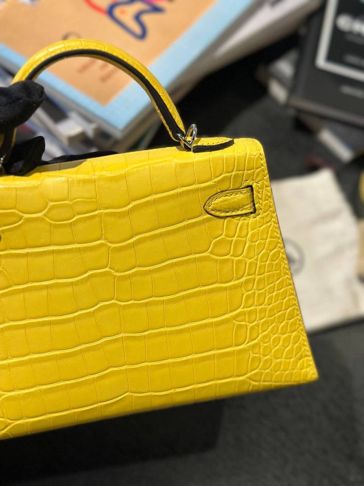 Hermès Mini Kelly 20 Alligator Mimosa Palladium Hardware