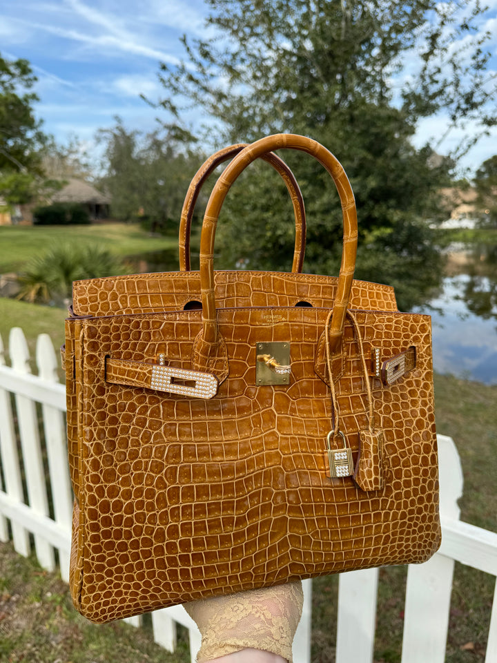 Hermes Crocodile Diamond Birkin 30