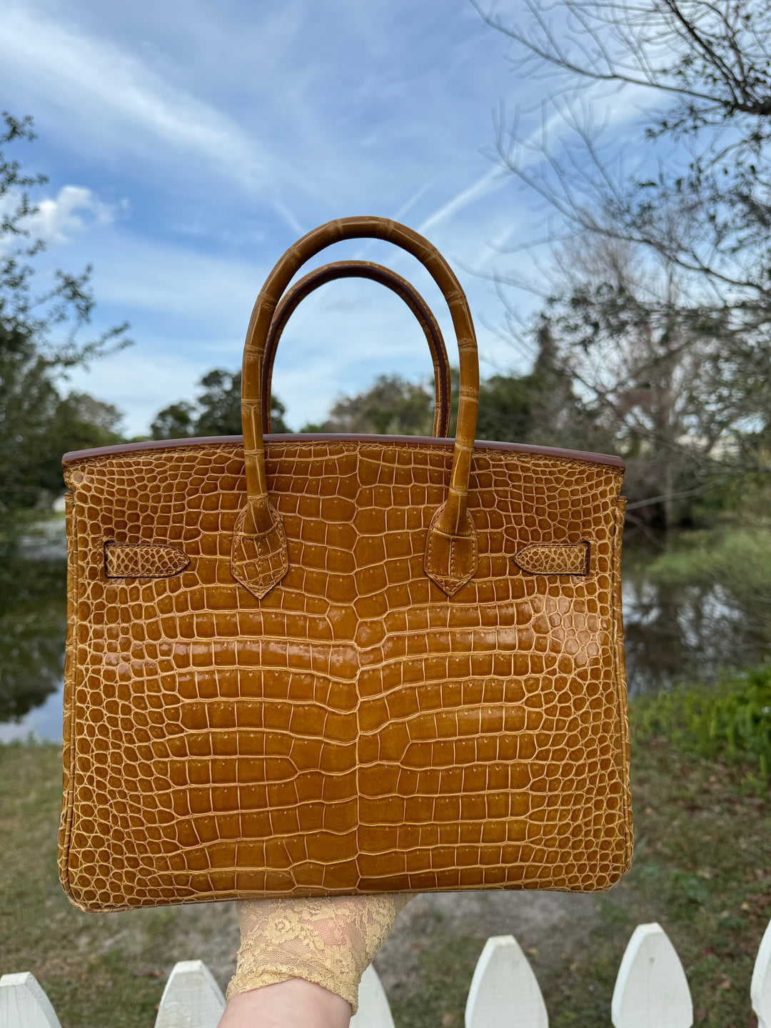 Hermes Crocodile Diamond Birkin 30