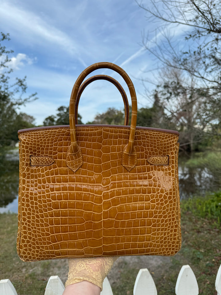 Hermes Crocodile Diamond Birkin 30