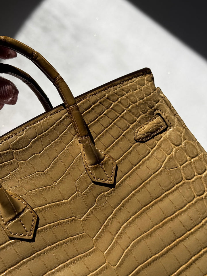 Hermes Matte Crocodile Poussiere Birkin 25 PHW