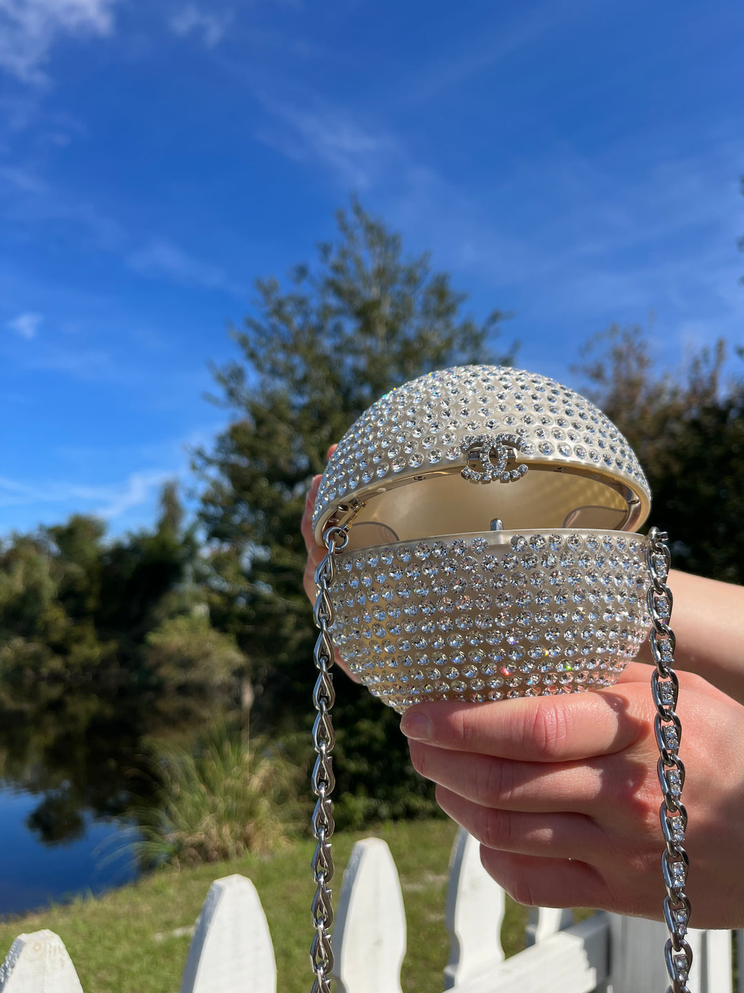 Chanel Rare Runway 2018 Crystals Minaudières Clutch Crossbody Bag