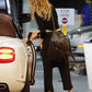 2014 Brown Paris Dallas Runway Fringe Bag