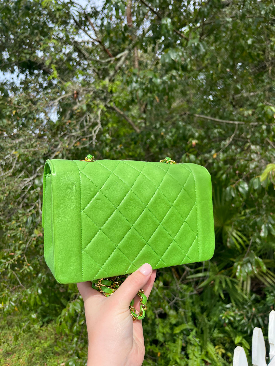 Chanel Rare Green Vintage Medium Lambskin Diana Flap Bag