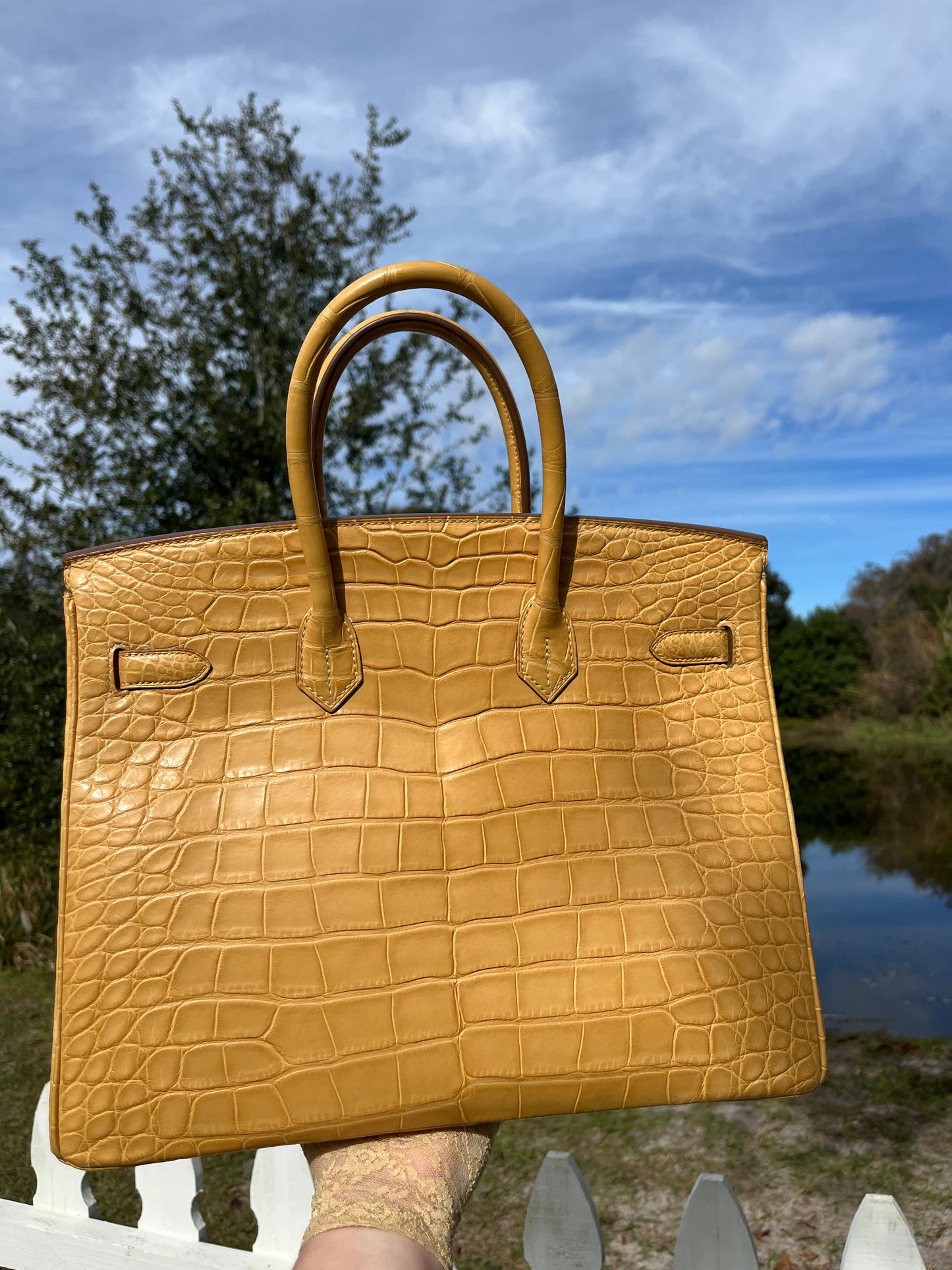 Hermes Poussiere Matte Croc Birkin 35 GHW