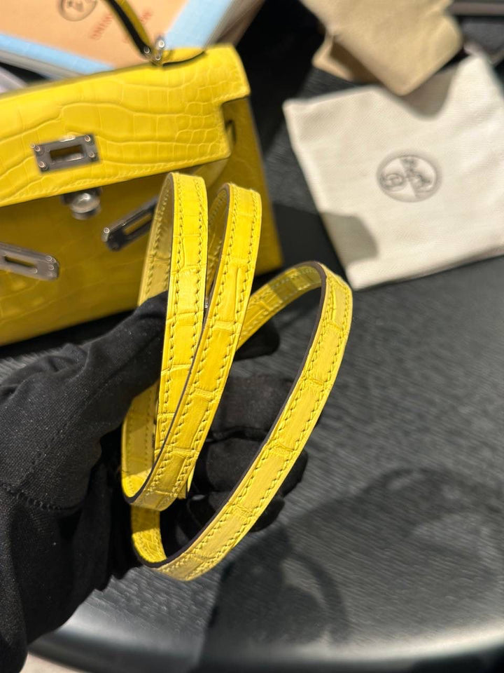 Hermès Mini Kelly 20 Alligator Mimosa Palladium Hardware