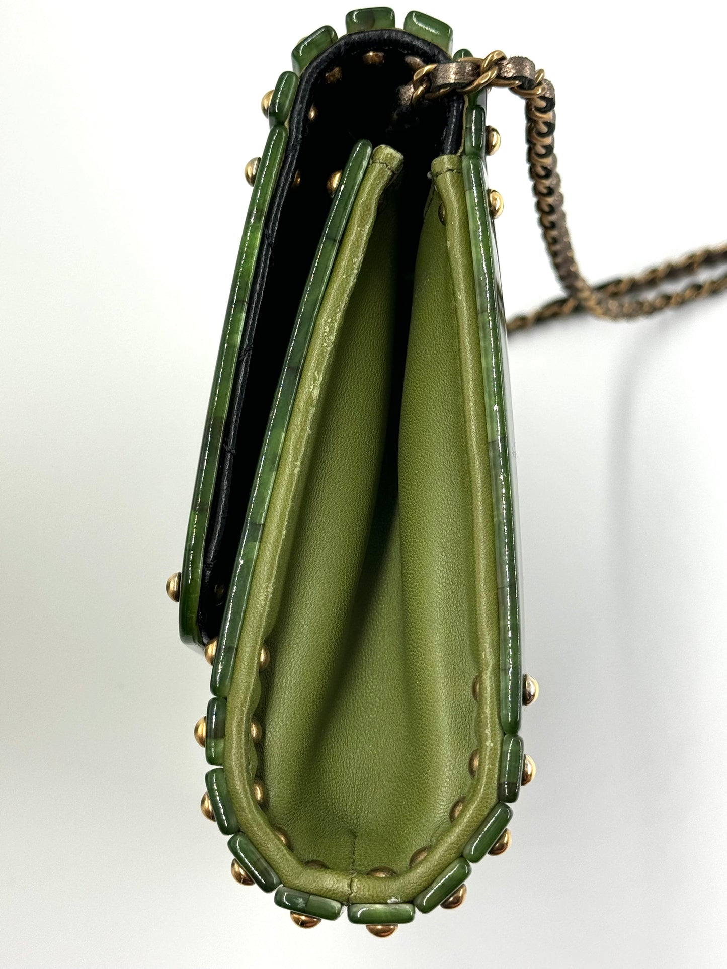 Chanel RARE Green Tortoise Minaudiere Crossbody