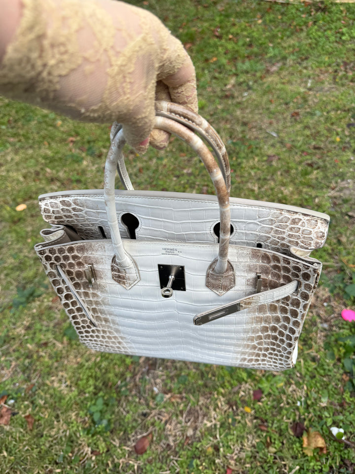 Hermes Himalaya Crocodile Birkin 30