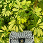 Chanel 19S Pearl Embellished Mini Rectangular Flap Bag