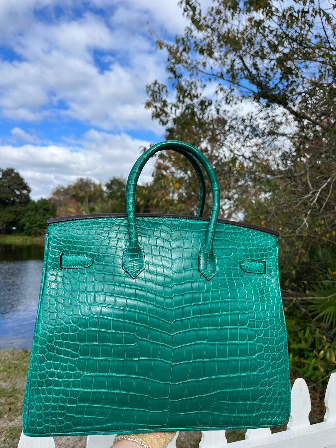 Hermes Malachite Matte Croc Birkin 35 PHW