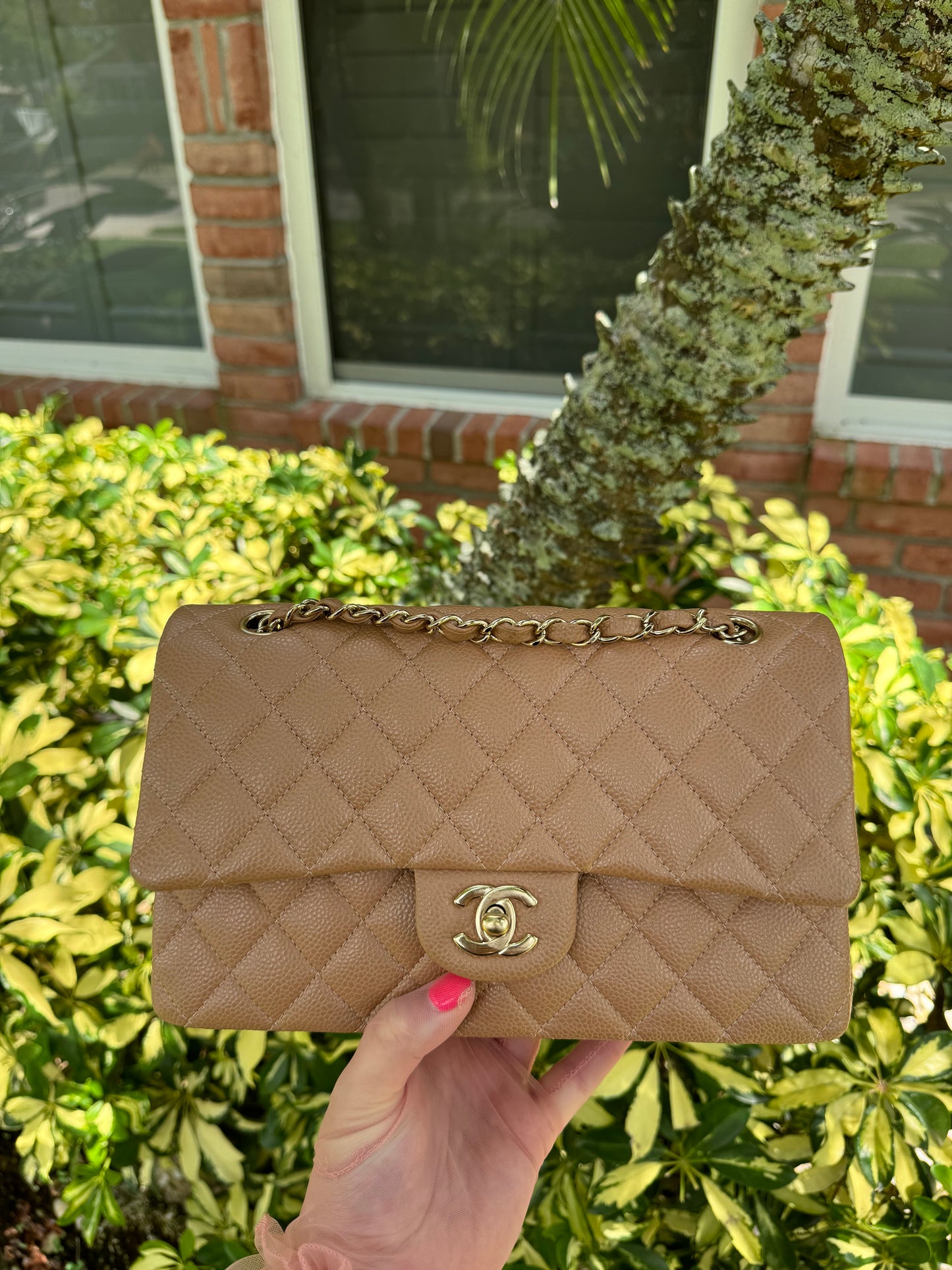 Chanel 18S Dark Beige Medium Caviar Flap Bag